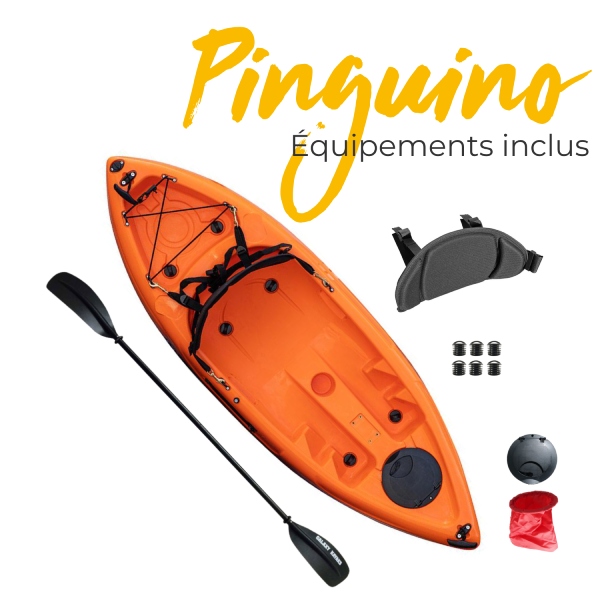 accessoires inclus avec pinguino.jpg